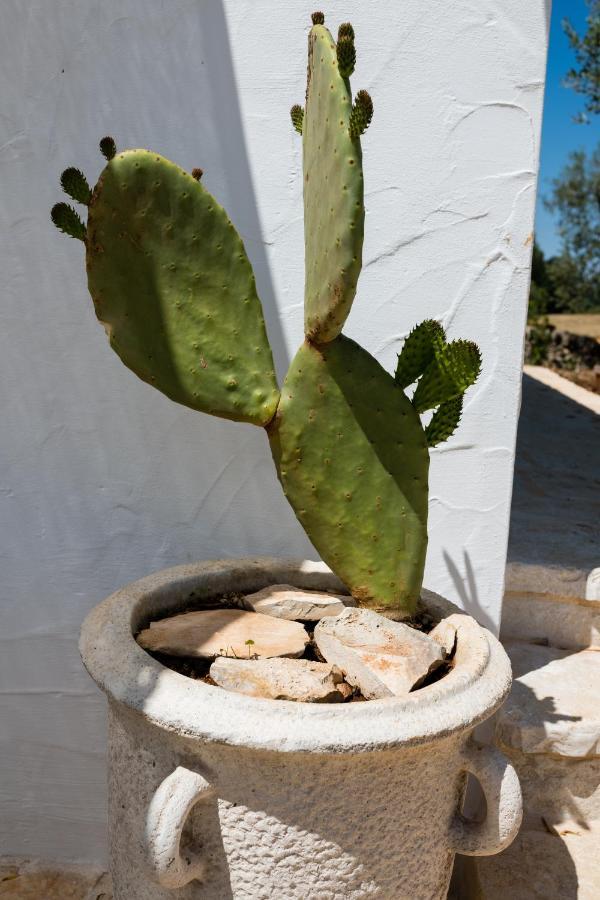 Il Trullo Della Rondinina Villa Alberobello Exterior foto