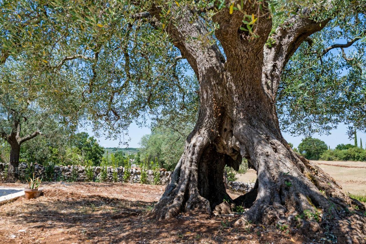 Il Trullo Della Rondinina Villa Alberobello Exterior foto