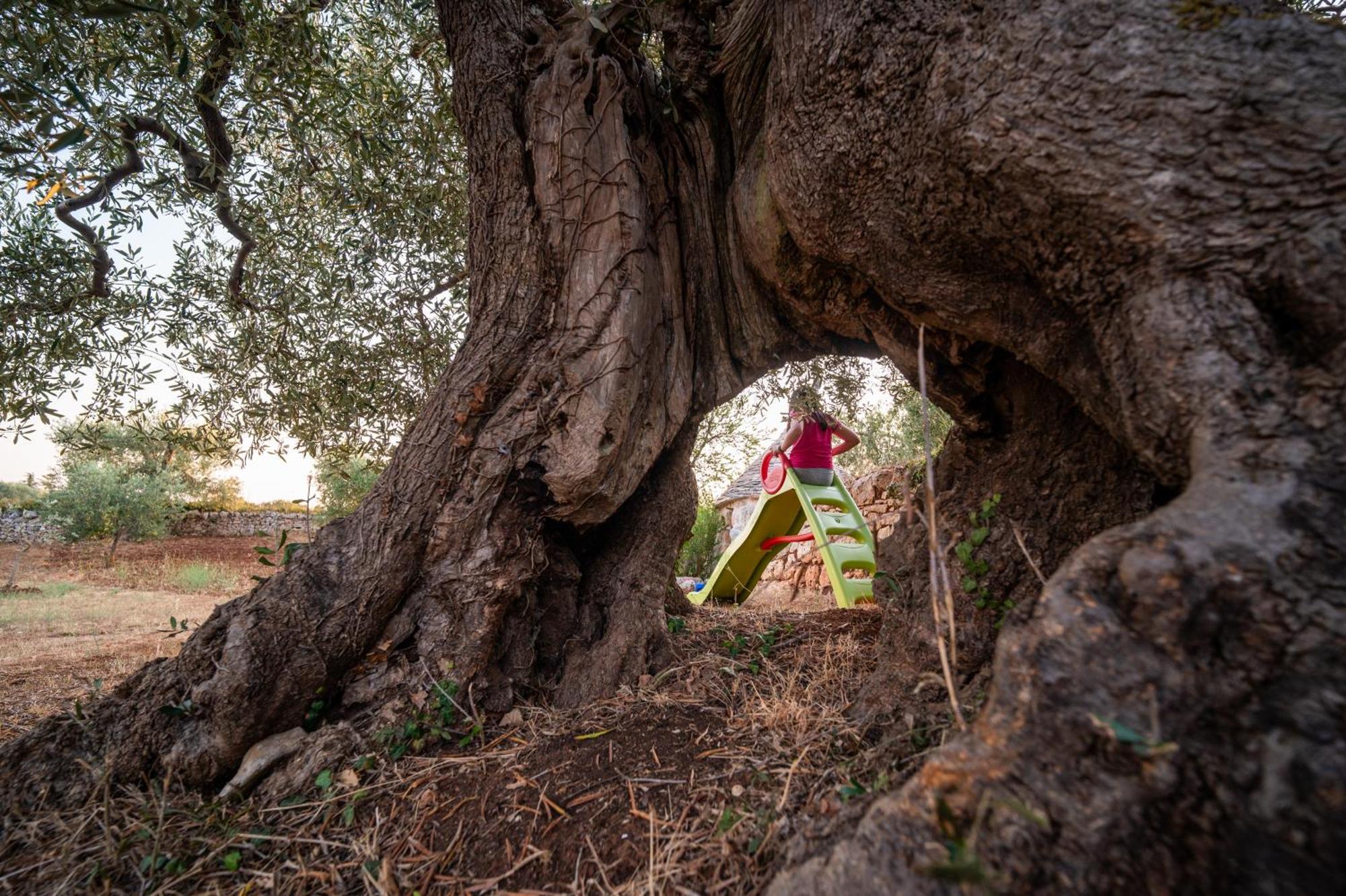 Il Trullo Della Rondinina Villa Alberobello Exterior foto